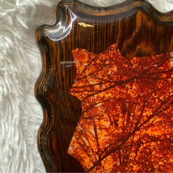 Vintage 70’s Groovy Wood Lacquered Woods Forrest Image Wall Hanging Plaque - Picture 10 of 11